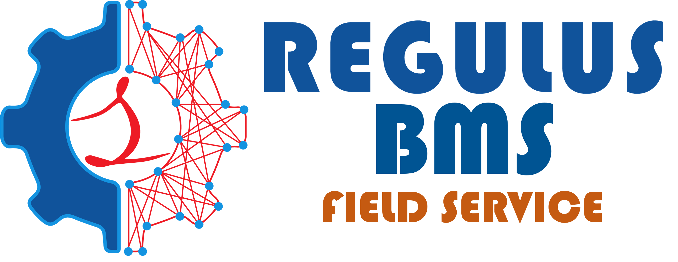 Fieldservice Regulus BMS